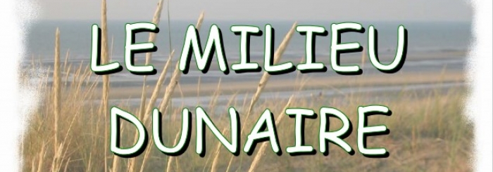 Le milieu dunaire