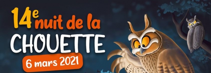 La nuit de la chouette