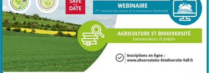 Webinaire