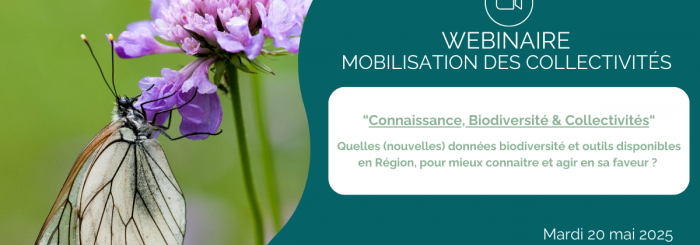 Webinaire mobilisation des collectivités
