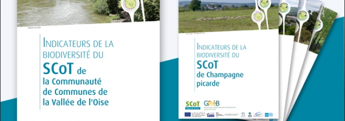 publication scot