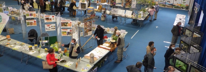 5ème Séminaire Biodiversité Entomologique de l’Oise