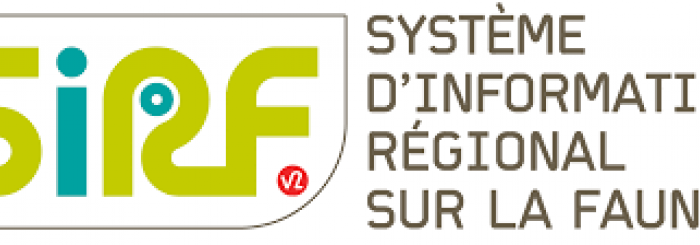 logo sirf