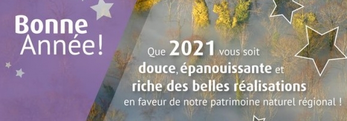 Voeux2021