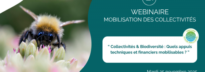 Visuel webinaire