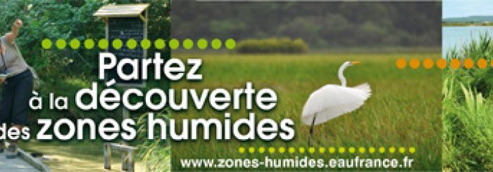 Beandeau "Partez à la découverte des zones humides"