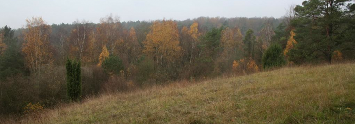 marais de berneuil et vallé monnet