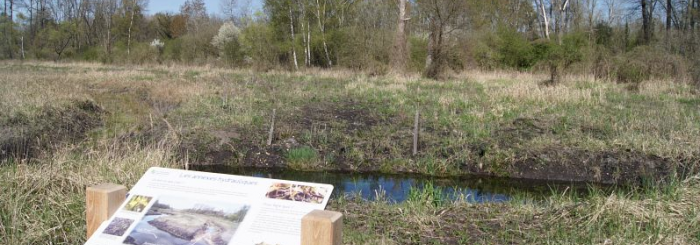 marais et pelouse