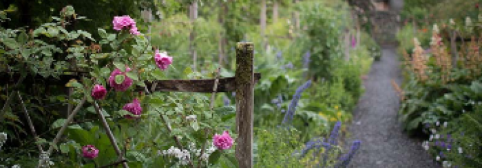 formation jardin biodiversité