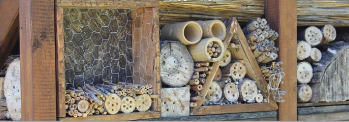 atelier réalisez des abris à insectes
