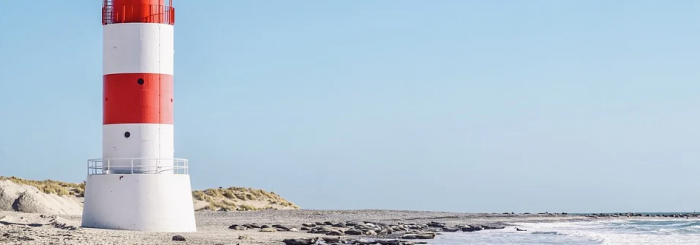 Baie d'Authie-La Baie d'Authie, source de vie