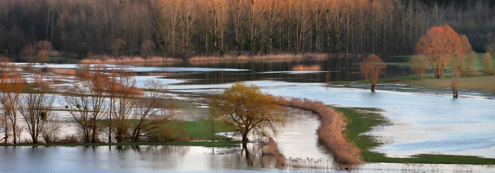 Climatour "Inondations & résilience : des solutions pour s'adapter au changement climatique"