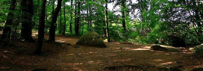 Saint-Momelin“Balade gourmande