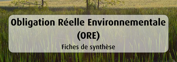 guide-methodologique-obligation-reelle-environnementale.jpg Thumbnail