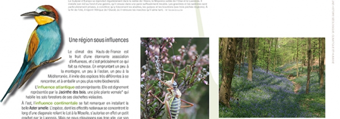 extrait-Naute-e-Hauts-de-France
