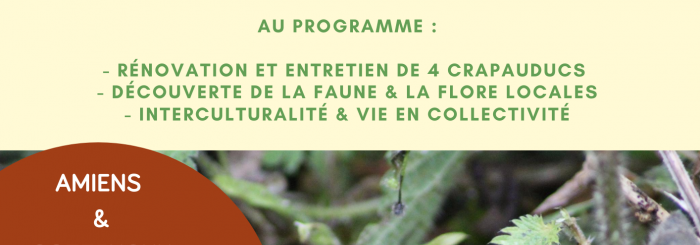 rénovation du Crapauduc