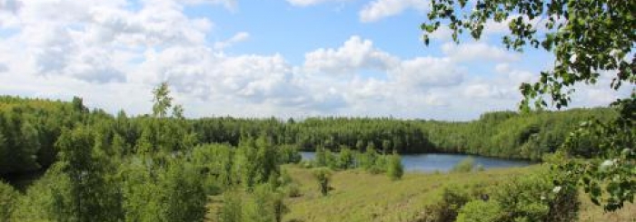 Faune, flore et paysages
