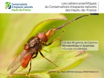 Clé des 88 genres de Diptères Microdontidae et Syrphidae d’Europe occidentale