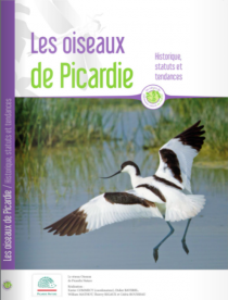 Les oiseaux de Picardie