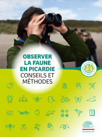 Observer la faune en Picardie : conseils et méthodes