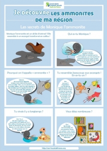 Je découvre les ammonites de ma région