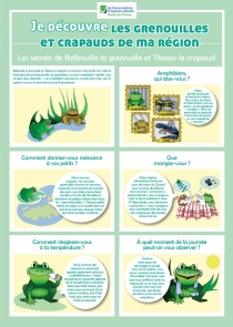 Je découvre les grenouilles et crapauds de ma région
