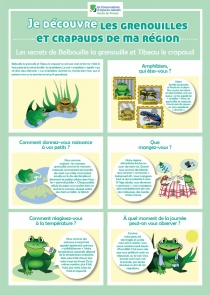 Je découvre les grenouilles et crapauds de ma région