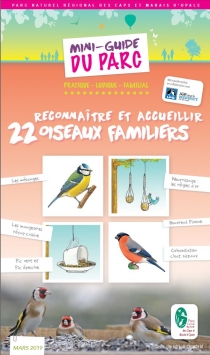 Reconnaître et accueillir 22 oiseaux familiers