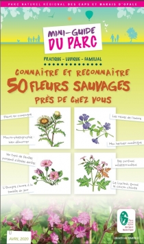 Connaître et reconnaître 50 fleurs sauvages près de chez vous