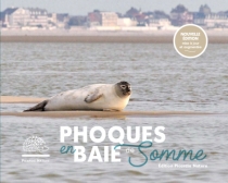 Phoques en Baie de Somme