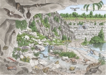 Dessin légendé - Espèces des rochers, éboulis et cavités en Hauts-de-France