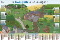 Panorama - La biodiversité de nos campagnes !
