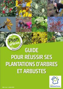 PLAN ARBRE guide pour réussir ses plantations