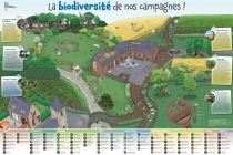 panorama biodiversité de nos campagnes
