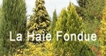 logo_laHaieFondue