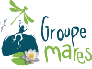 groupe mares