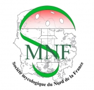 Logo SMNF