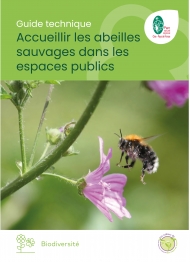 accueillir les abeilles sauvages