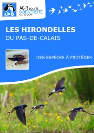 Brochure Hirondelles