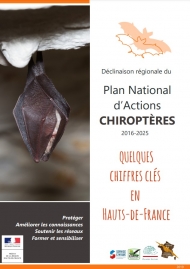 chiroptères