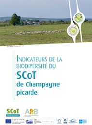 scot champagne picarde