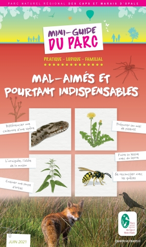 Mini guide du Parc